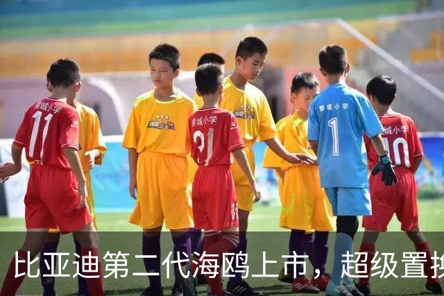 比亚迪第二代海鸥上市，超级置换价6.29万元-9.69万元